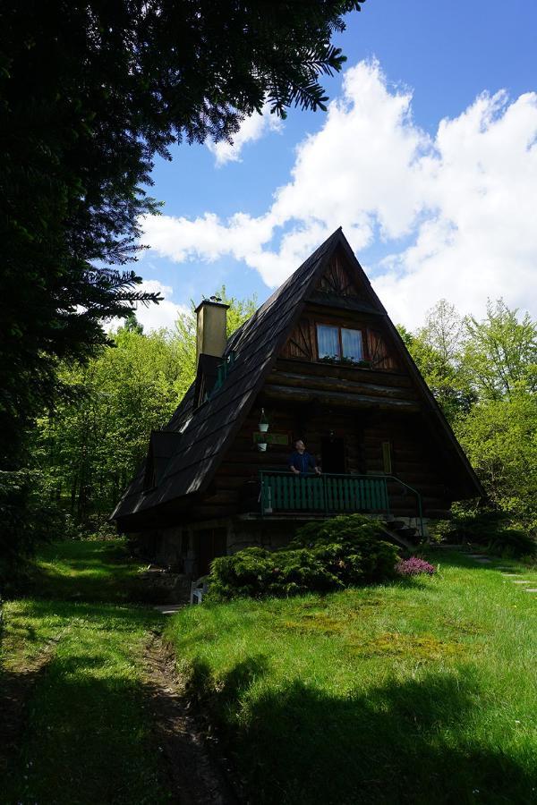 Villa Kosarzówka Bielsko-Biała Exterior foto